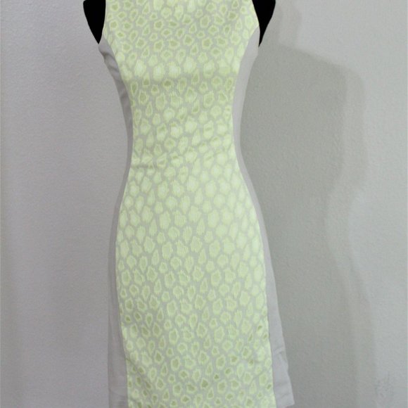 Belle Badgley Mischka Dresses & Skirts - Belle Badgley Mischka Green/Taupe Leopard Sheath Dress (2)